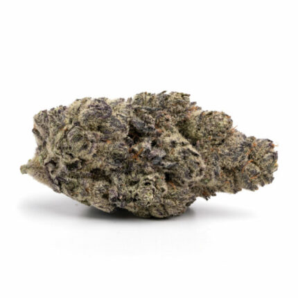 Donkey Butter Indica strain cannabis bud with dense green and purple hues