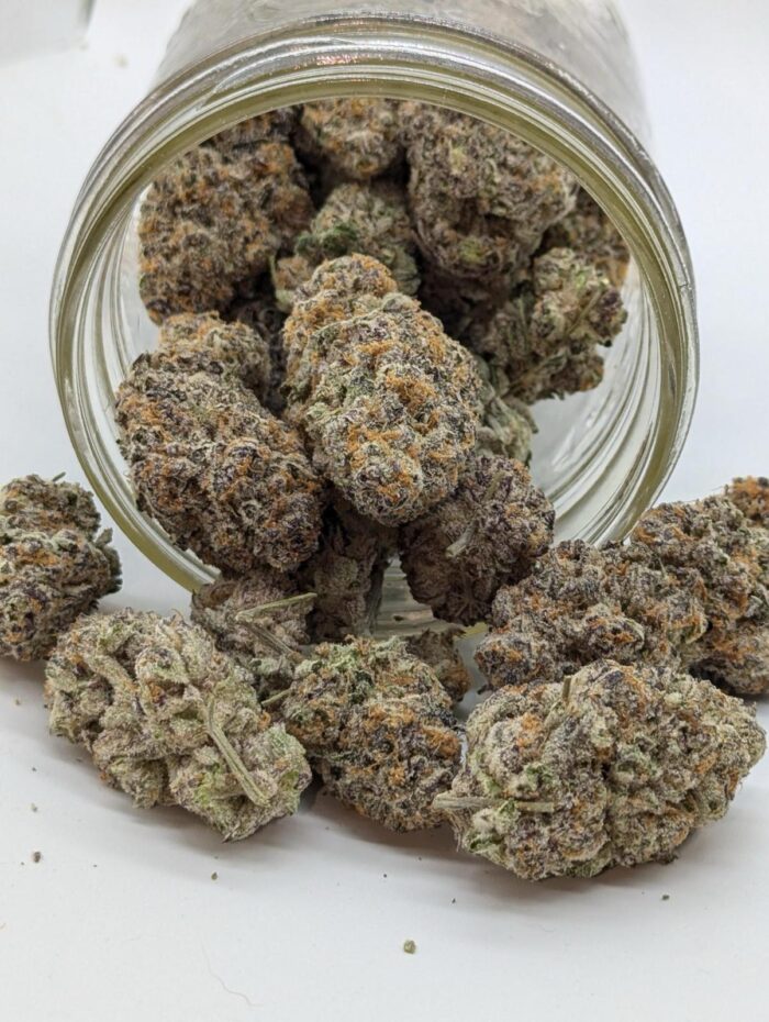 urple Afghan strain close-up in a glass jar