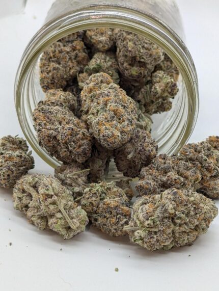 Close-up of White Walker cannabis strain buds in a jar