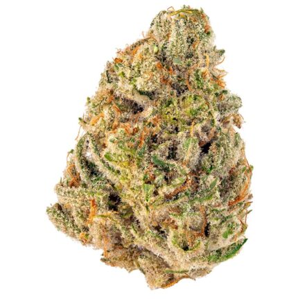 Potent Triangle Kush cannabis flower with earthy and skunky aroma