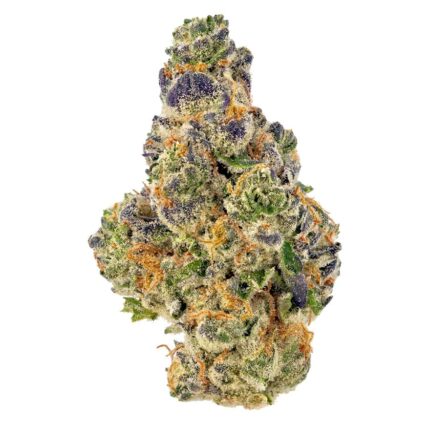 Purple God – Premium Indica Strain