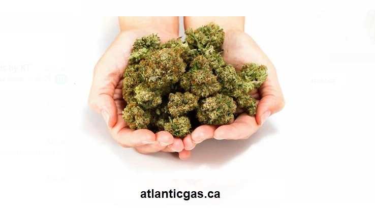 Cannabis Strains