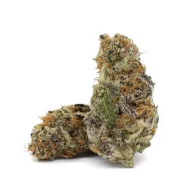 Cactus Breath indica-dominant hybrid strain close-up